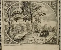 An illustration from Fama postuma, de virtutibus heroicis : quibus serenissima princeps ac domina D. Maria Archidux Austriae, Rheni Palatina vtriusque Bauariae Dux, et serenissimi quondam principis ac domini D. Caroli Archducis Austriae, Burgundiae, Styriae, Carinthiae, Carniolae Ducis Coniux, postea vidua augustam memoriae semper foelicis immortalitatem viuens moriens meruit (1609)