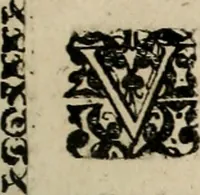 An illustration from Fama postuma, de virtutibus heroicis : quibus serenissima princeps ac domina D. Maria Archidux Austriae, Rheni Palatina vtriusque Bauariae Dux, et serenissimi quondam principis ac domini D. Caroli Archducis Austriae, Burgundiae, Styriae, Carinthiae, Carniolae Ducis Coniux, postea vidua augustam memoriae semper foelicis immortalitatem viuens moriens meruit (1609)