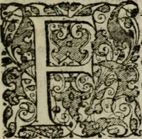 An illustration from Fama prognostica : ad cunas serenissimi principis Maximiliani Emmanuelis ... domini Ferdinandi Mariæ ... et serenissimæ principis ac D. dominæ Henrietæ Adeleidis ... filii (1662)