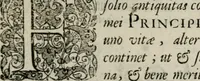 An illustration from Fama prognostica : ad cunas serenissimi principis Maximiliani Emmanuelis ... domini Ferdinandi Mariæ ... et serenissimæ principis ac D. dominæ Henrietæ Adeleidis ... filii (1662)
