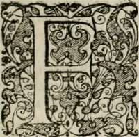 An illustration from Fama prognostica : ad cunas serenissimi principis Maximiliani Emmanuelis ... domini Ferdinandi Mariæ ... et serenissimæ principis ac D. dominæ Henrietæ Adeleidis ... filii (1662)