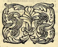 An illustration from Fama, y obras posthumas del fenix de Mexico, decima musa, poetisa americana, Sor Juana Ines de la Cruz, religiosa professa en el convento de San Geronimo de la imperial ciudad de Mexico; : consagralas a la Magestad Catholica de la reyna nuestra señora doña Mariana de Neoburg Baviera Palatina del Rhin, por mano de la Excma. señora doña Juana de Aragon y Cortès, duquesa de Monteleon, y Terra-Nova, marquesa del Valle de Goaxaca, &c. (1700)