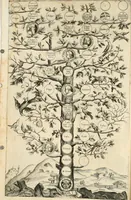 An illustration from Delle famiglie nobili fiorentine (1615)