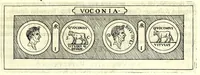Picture 75 of 80 from Familiae Romanae in antiquis numismatibus : ab vrbe condita, ad tempora diui Augusti (1663), leaf 343