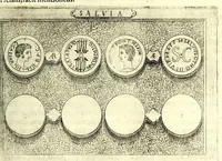 Picture 55 of 69 from Familiae romanae qvae reperivntvr in antiqvis nvmismatibvs ab vrbe condita ad tempora divi Avgusti : ex bibliotheca Fvlvi Vrsini : adivnctis familiis xxx ex libro Antoni Avgvstini ep. illerdensis (1577), leaf 241