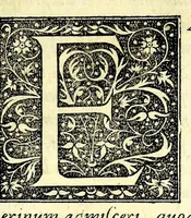 An illustration from Familiae romanae qvae reperivntvr in antiqvis nvmismatibvs ab vrbe condita ad tempora divi Avgusti : ex bibliotheca Fvlvi Vrsini : adivnctis familiis xxx ex libro Antoni Avgvstini ep. illerdensis (1577)