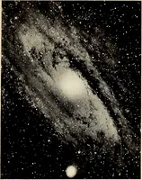 Picture 22 of 28 from The family celestial (1915), leaf 196