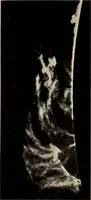 An illustration from The family celestial (1915)