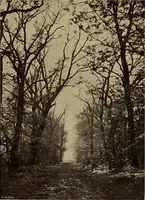 Picture 91 of 187 from Famous homes of Great Britain and their stories (1900), leaf 190