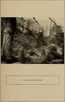 Picture 24 of 187 from Famous homes of Great Britain and their stories (1900), leaf 52