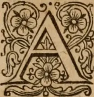 An illustration from The famous and renowned history of Amadis de Gaule : conteining the heroick deeds of armes, and strange adventures, aswell of Amadis himself, as of Perion his son, and Lisvart of Greece, son to Esplandian emperor of Constantinople, wherein is shewed the wars of the Christians against the Turks... (1652)