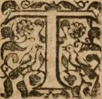An illustration from The famous and renowned history of Amadis de Gaule : conteining the heroick deeds of armes, and strange adventures, aswell of Amadis himself, as of Perion his son, and Lisvart of Greece, son to Esplandian emperor of Constantinople, wherein is shewed the wars of the Christians against the Turks... (1652)