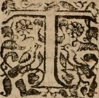An illustration from The famous and renowned history of Amadis de Gaule : conteining the heroick deeds of armes, and strange adventures, aswell of Amadis himself, as of Perion his son, and Lisvart of Greece, son to Esplandian emperor of Constantinople, wherein is shewed the wars of the Christians against the Turks... (1652)