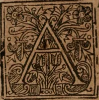 An illustration from The famous and renowned history of Amadis de Gaule : conteining the heroick deeds of armes, and strange adventures, aswell of Amadis himself, as of Perion his son, and Lisvart of Greece, son to Esplandian emperor of Constantinople, wherein is shewed the wars of the Christians against the Turks... (1652)