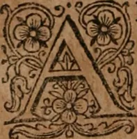 An illustration from The famous and renowned history of Amadis de Gaule : conteining the heroick deeds of armes, and strange adventures, aswell of Amadis himself, as of Perion his son, and Lisvart of Greece, son to Esplandian emperor of Constantinople, wherein is shewed the wars of the Christians against the Turks... (1652)