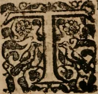 An illustration from The famous and renowned history of Amadis de Gaule : conteining the heroick deeds of armes, and strange adventures, aswell of Amadis himself, as of Perion his son, and Lisvart of Greece, son to Esplandian emperor of Constantinople, wherein is shewed the wars of the Christians against the Turks... (1652)