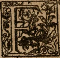 An illustration from The famous and renowned history of Amadis de Gaule : conteining the heroick deeds of armes, and strange adventures, aswell of Amadis himself, as of Perion his son, and Lisvart of Greece, son to Esplandian emperor of Constantinople, wherein is shewed the wars of the Christians against the Turks... (1652)