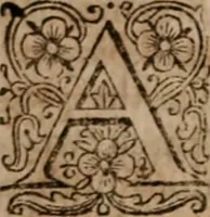 An illustration from The famous and renowned history of Amadis de Gaule : conteining the heroick deeds of armes, and strange adventures, aswell of Amadis himself, as of Perion his son, and Lisvart of Greece, son to Esplandian emperor of Constantinople, wherein is shewed the wars of the Christians against the Turks... (1652)