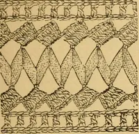 Picture 17 of 19 from Fancy braid and crochet book (1885), leaf 17