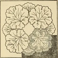 An illustration from Fancy work for pleasure and profit (1905)