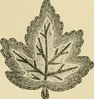 An illustration from Fancy work for pleasure and profit (1905)