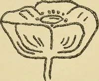 An illustration from Fancy work for pleasure and profit (1905)