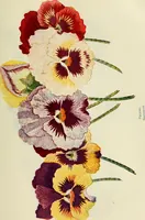 An illustration from Fancy work for pleasure and profit (1905)