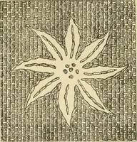 An illustration from Fancy work for pleasure and profit (1905)