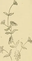 An illustration from Fancy work for pleasure and profit (1905)