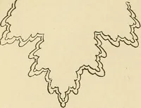 An illustration from Fancy work for pleasure and profit (1905)