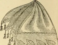 An illustration from Fancy work for pleasure and profit (1905)