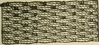 An illustration from Fancy work for pleasure and profit (1905)