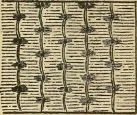 An illustration from Fancy work for pleasure and profit (1905)