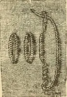 An illustration from Fancy work for pleasure and profit (1905)