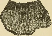 An illustration from Fancy work for pleasure and profit (1905)