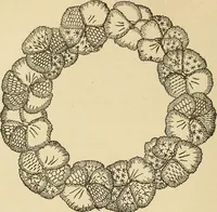 An illustration from Fancy work for pleasure and profit (1905)
