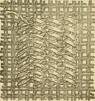 An illustration from Fancy work for pleasure and profit (1905)