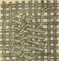 An illustration from Fancy work for pleasure and profit (1905)