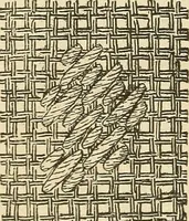 An illustration from Fancy work for pleasure and profit (1905)