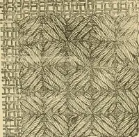 An illustration from Fancy work for pleasure and profit (1905)