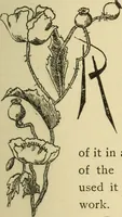 An illustration from Fancy work for pleasure and profit (1905)