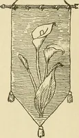 Picture 176 of 437 from Fancy work for pleasure and profit (1905), leaf 185