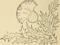 An illustration from Fancy work for pleasure and profit (1905)