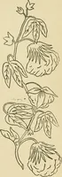 An illustration from Fancy work for pleasure and profit (1905)