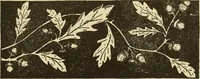 An illustration from Fancy work for pleasure and profit (1905)