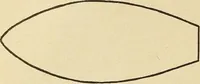 An illustration from Fancy work for pleasure and profit (1905)