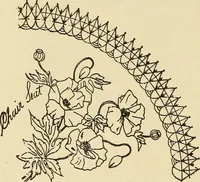 Picture 198 of 437 from Fancy work for pleasure and profit (1905), leaf 210