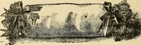 An illustration from Fancy work for pleasure and profit (1905)