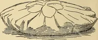 An illustration from Fancy work for pleasure and profit (1905)