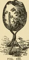 An illustration from Fancy work for pleasure and profit (1905)